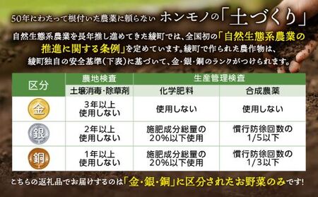 【６回定期便】日時指定OK！本日のお野菜セット （大サイズ/約15～17種） 4人以上用 / 野菜 朝どれ 有機栽培 産地直送 新鮮 旬 詰め合わせ サラダ 果物 きのこ類 やさい 送料無料 定期便 6カ月【オーガニックのまち 宮崎県綾町】＿A0053-011