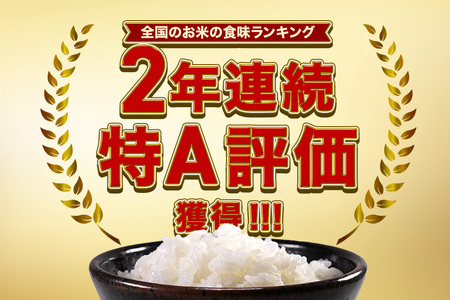 【3ヶ月 定期便 】令和7年産 コシヒカリ 10kg (5kg×2袋) 計30kg FH-008 