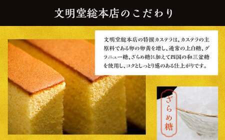 【7営業日以内発送】特撰カステラ1号 文明堂 総本店 かすてら 贈り物 お土産 常温