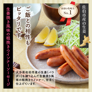 大満足2.28kg!おおいた味力ソーセージセット_1307R