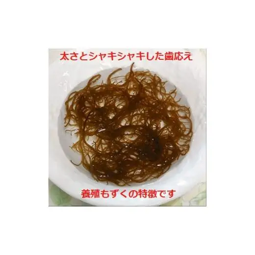 石垣島産もずく食べ比べセット 天然もずく(450g×3)・養殖もずく(500g×3) 計６パック 合計2.85kg　SI-77