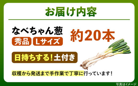 ねぎ【2026年11月発送開始】なべちゃん葱(土付き) Lサイズ5kg 約20本[AICO002]