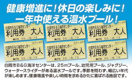 白岡市B&G海洋センター利用券（500円券）6枚　【11246-0272】