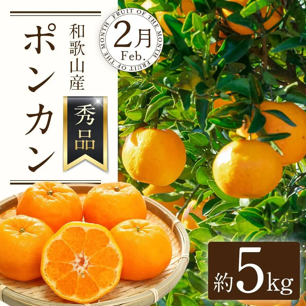 定期便全3回 【2月・3月・4月発送】 和歌山の春の柑橘 （ポンカン・はるか・ブラッドオレンジ）秀品【TM173】