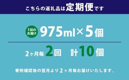 【2ヶ月毎2回定期便】 マウスウォッシュ メイクアニューハビット クリアアイスミント  975ml×5個 セット 洗浄 洗口液 日用品