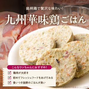1cofood 手作りドッグフード 九州華味鶏ごはん 400g×1袋_ドッグフード 手作り 九州華味鶏 ごはん 400g × 1袋 1cofood もも肉 桜島鶏 ささみ 国産野菜 米 フルーツ 生酵素 オリーブオイル 海藻 コイン型 ペット 冷凍 福岡県 久留米市 送料無料 〔Pf020〕