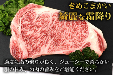 宮崎県産 椎葉牛 サーロインステーキ 200ｇ×2枚 計400g 牛肉 肉 精肉 ステーキ サーロインステーキ 和牛 黒毛和牛 TK-84