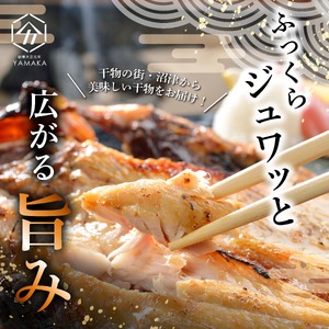 干物 厳選セット 5種 8枚 はまゆう 沼津 干物