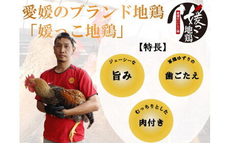 久万高原町産！愛媛ブランド地鶏「媛っこ地鶏」 1羽まるごと！平飼い ｜ モモ ムネ ササミ 内臓 手羽元 手羽先 もも むね 胸 ささみ 鶏肉 鳥肉　久万山養鶏研究所 ※離島への配送不可