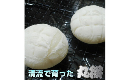 丸餅約700g(16個)1個約40g～45g【無添加】【つき餅】お祝い お供え 自宅用 ※着日指定不可 ※離島への配送不可