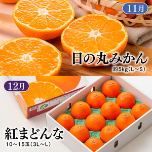 【定期便】【愛媛県共通返礼品】愛媛のかんきつ定期便（全6回）（日の丸みかん・紅まどんな・伊予柑・不知火・せとか・河内晩柑) ｜ みかん 蜜柑 日の丸みかん 紅まどんな 伊予柑 不知火 デコポン せとか ※2026年11月～発送