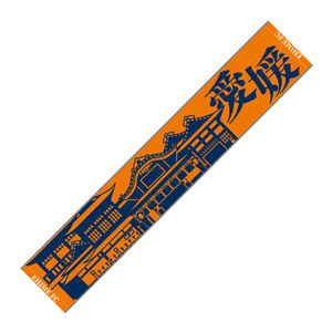 【愛媛県共通返礼品】【愛媛FC応援グッズ】マフラータオル1枚＋フラッグS1本※離島への配送不可※着日指定不可◇