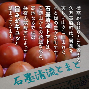 【家庭用】石墨清流 トマト 4kg｜糖度9～11度 そのままでも 美味しい 久万高原町 トマト とまと 自然栽培 野菜 カレー トマトソース 濃縮 ヒナタ 安心 酸味 甘味 清流 料理 農家 旨み サンドイッチ 新鮮 煮込み 料理 アレンジ 美味しい 手作業 人気 ギフト プレゼント 自然 小長谷勝也 愛媛 ※離島への配送不可 ※2026年7月下旬頃より順次発送予定