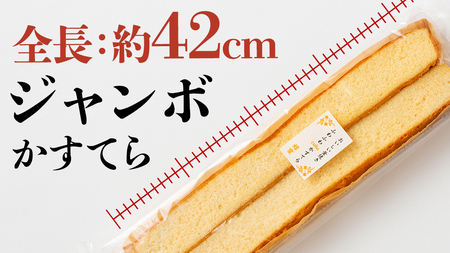 工場直送！全長約42センチ ジャンボかすてら 3種×各3袋セット