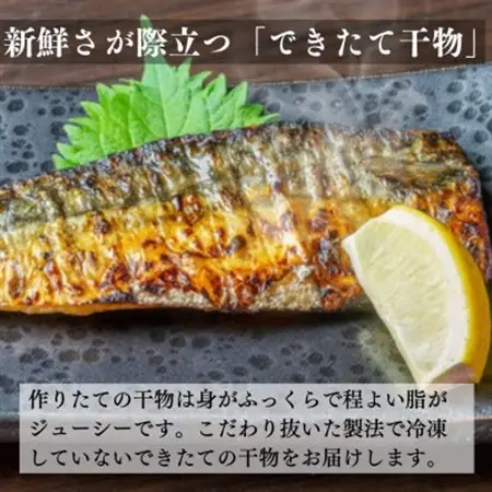 できたて干物!!さば6切れ_魚介・海産物  干物 _【配送不可地域：離島】【1539826】