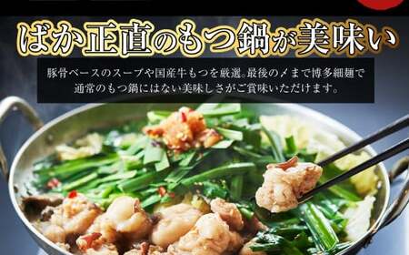 【20営業日以内発送】国産牛 長崎 もつ鍋 セット (醤油味) 細麺付 2～3人前 ／ もつ鍋居酒屋ばか正直 もつ鍋 モツ鍋 鍋 もつ モツ ホルモン