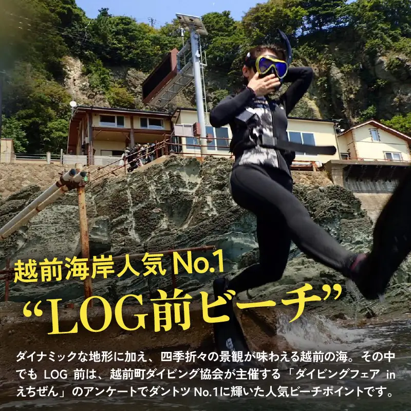 利用券 3,000円分 越前海岸国定公園 『海辺の小さな手作りリゾート ECHIZEN LOG（えちぜんログ）』絶景日本海！越前の海を楽しむ マリンアクティビティ 体験・宿泊・飲食 福井県 越前町【 2年間 有効期限 ダイビング マリン カヤック サップ RV 車 パーク ウミウシ 体験 宿泊 越前かに 券 海の幸 カニ料理 蟹 魚介 かに 蟹 海産物 満腹グルメ 】 [e33-a001]
