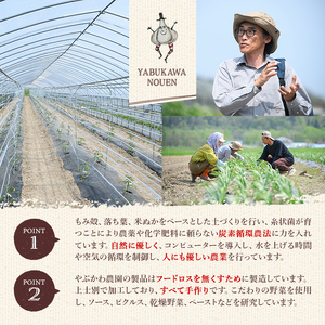 【B7086】やさいサーカス4種セット(トマトソース、油淋鶏ソース：120g・にんにくの芽ピクルス：60g・サラダピクルス：90g) トマト トマトソース ソース ニンニク にんにく ニンニクの芽 調味料 料理 パスタ ピザ チキンソース ピクルス おつまみ おかず 【やぶかわ農園】