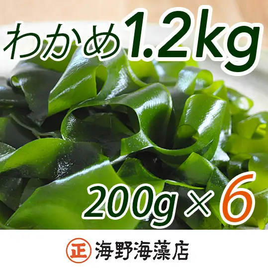 しゃきしゃき湯通し塩蔵わかめ1.2kg 国産 三陸産 湯通し不要 大洗【共通返礼品/大洗町】（HC-7）