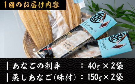 【全2回定期便】対馬産 べっぴん あなご 詰め合わせ  対馬 新鮮 ふわふわ 穴子 刺身 海産物 魚介 冷凍配送 [WAQ016]