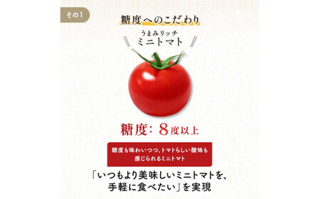 ＜特別栽培農産物＞ファームサイドのこだわりミニトマト 1kg 野菜 特別栽培 農産物 サラダ ピクルス 炒め物 食品 本庄産 関東 F5K-509