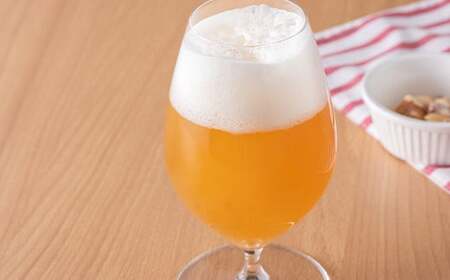 ＜クラフトビール＞ 本庄クラフトビール 4本セット ビール 発泡酒 クラフト アルコール 酒 飲料 セット  F5K-449