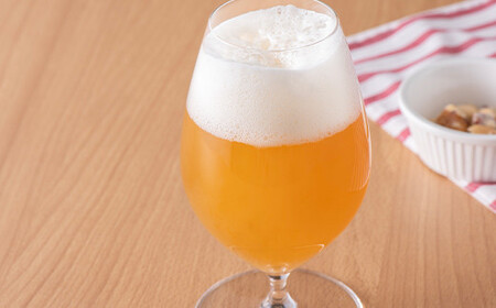 ＜クラフトビール＞ 本庄クラフトビール 6本セット ビール 発泡酒 クラフト アルコール 酒 飲料 セット  F5K-450