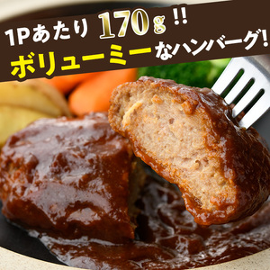 デミグラスハンバーグ(計3.4kg・170g×20個) 豚肉  牛肉  冷凍 個包装 国産 【C-28】【株式会社 英楽】