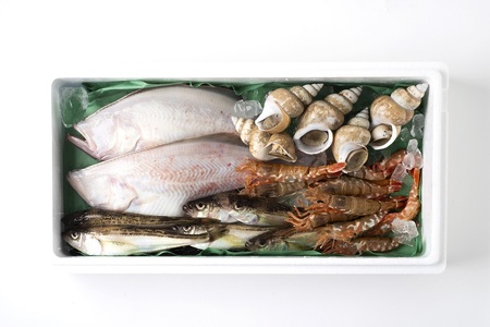 【21002】鳥取県岩美町 旬の魚おまかせセットB