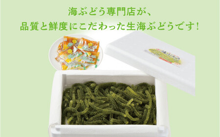 【沖縄県産】生海ぶどう 1kg (500g×2箱)