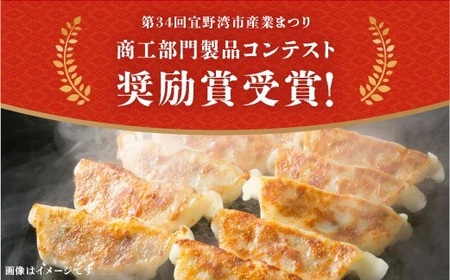 かめかめ島餃子 (豚肉・やんばる若鶏/にんにくあり) 30個 × 2袋 | さっぱりとり餃子(若鶏・にんにくあり) かめかめ餃子(豚肉・にんにくあり) | 包みたて 工場直売 餃子 シママース | 簡単調理 手軽 | 餃子 豚肉 鶏肉 出汁 沖縄 お取り寄せ グルメ 冷凍