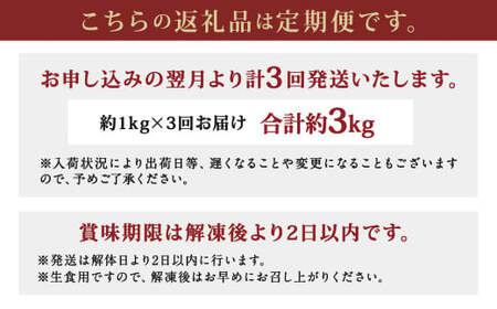 【3ヶ月定期便】 長崎県産 本マグロ「中トロ」約1kg【大村湾漁業協同組合】