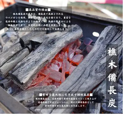 【徳島県産】美波町の森が育んだ「樵木（こりき）備長炭」で焼き上げる。外はパリッ、中はふっくら。職人手焼きの極上うなぎ（大きめ5尾）ふるさと納税 うなぎ 鰻 蒲焼 国産 徳島県 美波町 炭火焼 備長炭 手焼き 大きめ 高級 絶品 お取り寄せ ギフト 土用の丑 SDGs サステナブル 環境保全 伝統　ウナギ