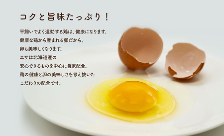 永光農園の平飼い有精卵　25個+割れ保証5個　たまご