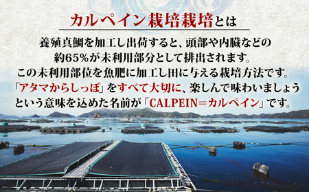 令和7年産 コシヒカリ 魚乃まいひめ カルペイン栽培 計10kg 5kg × 2袋 精米 秀長水産 精米 G032-016008