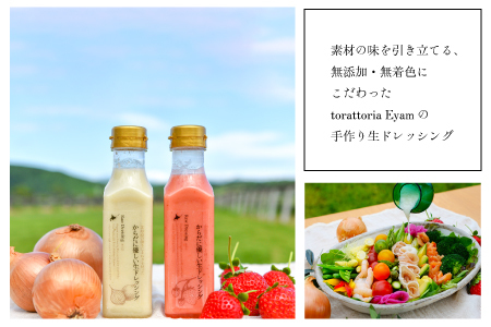 【家庭用】からだに優しい『生ドレッシング』2本セット[52-1400]