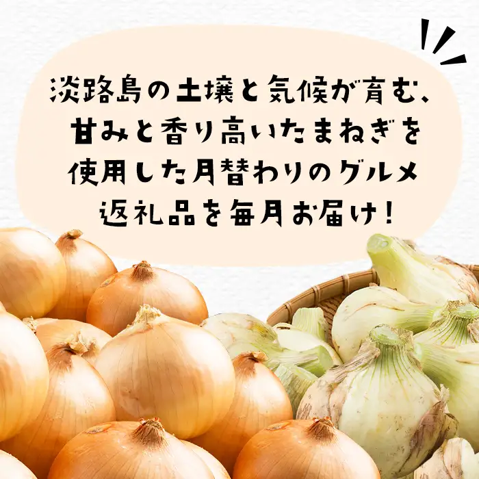 【定期便12ヶ月】今井ファームの淡路島たまねぎグルメ直送便