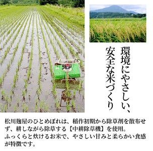 【先行予約】【令和8年産米】ひとめぼれ10kg　会津磐梯山の恵みこだわり栽培米　令和8年10月下旬頃より発送予定