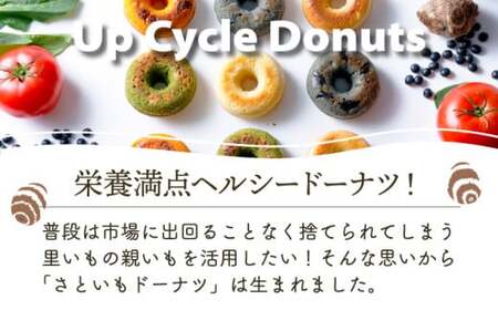 身体にうれしいドーナツ【さといもドーナツ10個セット】（オリジナル5個、ほうれん草2個、トマト2個、黒豆1個）　おさじの工房 おやつ ギフト