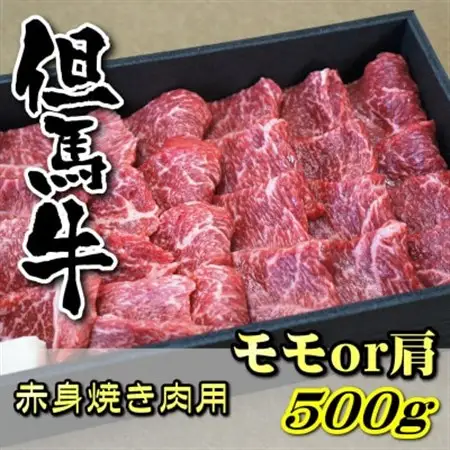 但馬牛 赤身焼き肉用(モモ又は肩)500g【配送不可地域：離島】【1046854】