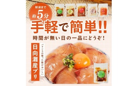 【冷凍】海鮮漬け丼5種お試しセット N019-YA192