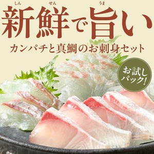【冷蔵】カンパチと真鯛の新鮮お刺身セット少量お試しパック N019-YA193