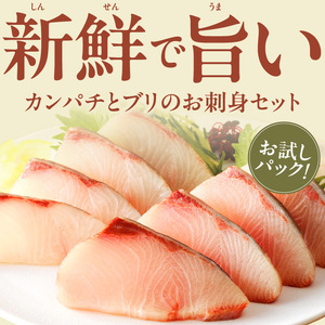 【冷蔵】ブリとカンパチの新鮮お刺身セット少量お試しパック N019-YA194