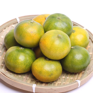 鹿蔵 プレミアム 有田みかん ( ゆら早生 ) 5kg+250g（傷み補償分） 光センサー 選果　※北海道・沖縄・離島への配送不可 ※10月上旬〜11月中旬頃に順次発送予定 / 温州みかん 秀品  柑橘  和歌山 【ikd003-prem-5A】