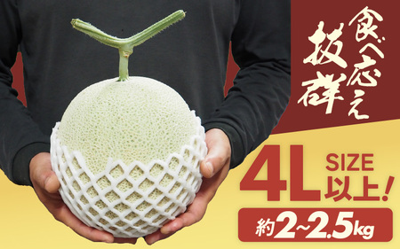【先行予約】 マスクメロン 4Lサイズ以上 1玉 （約2～2.5kg） 虜になる美味しさにめろめろン? 大切な人の笑顔がみたいあなたへ 【2026年10月下旬以降順次発送予定】【メロン めろん フルーツ デザート 果物 くだもの 果実 青肉 糖度 甘い ジューシー お取り寄せ グルメ 産地直送】 [A-16204]