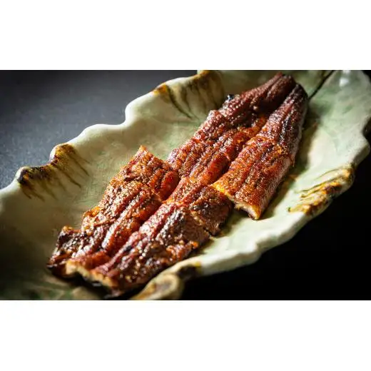 【訳あり】うなぎ茶漬けセット（9食分） 鰻 うなぎ 高級茶漬け うな茶漬け かば焼き 老舗 会食 接待 お祝い