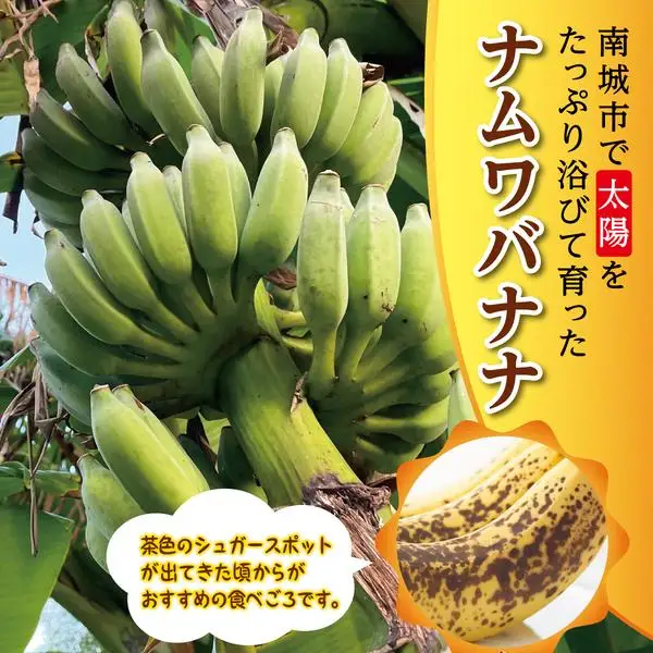  ナムワバナナ 5kg   