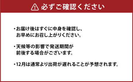 熊本県産 野菜 の 詰め合わせ 8品以上 やさい 季節の野菜 詰合せ 国産 