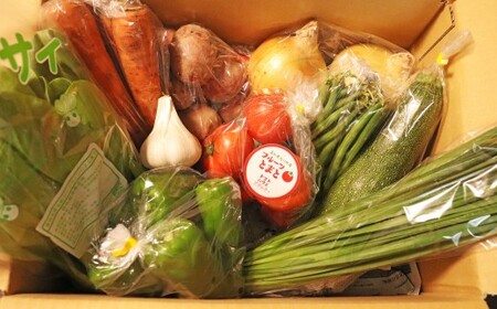 【ふるさと納税】年6回発送！＜南国高知から直送！旬の季節のお野菜定期便（7～9品）＞高知県 佐川町 野菜セット　野菜便 詰め合わせ 旬の時期にお届け 2回目以降、着日時間指定可能【冷蔵】こうち育ち 2ヶ月に1回発送