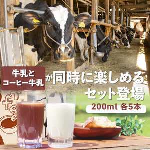 ＜吉本牛乳（さかわの地乳）・ 吉本コーヒー 各200ml×5本 合計10本＞ 　コーヒー牛乳 吉本乳業 高知県 佐川町 成分無調整 生乳100％ ぢちち NHKあさイチで紹介 ご当地牛乳